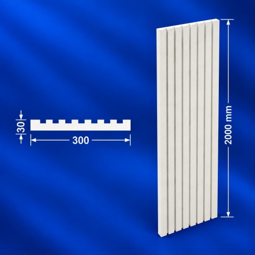 Placă P-663 (300*30*2000)